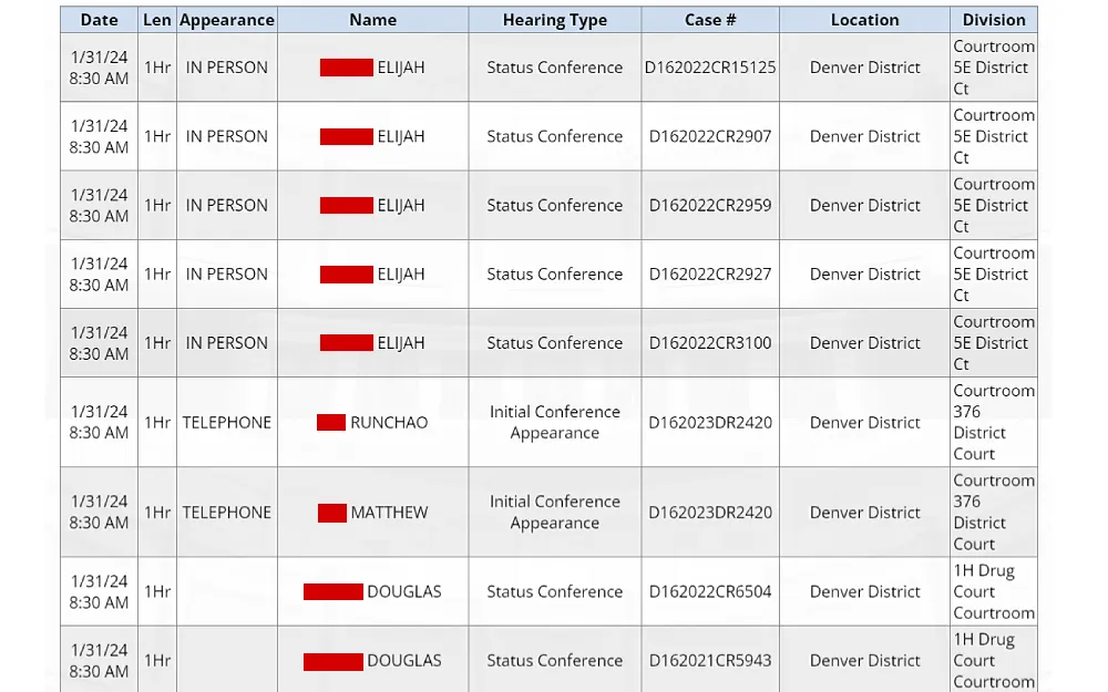 A screenshot of a court docket search result showing information such as date, appearance, name, hearing type, case number, location, and division.